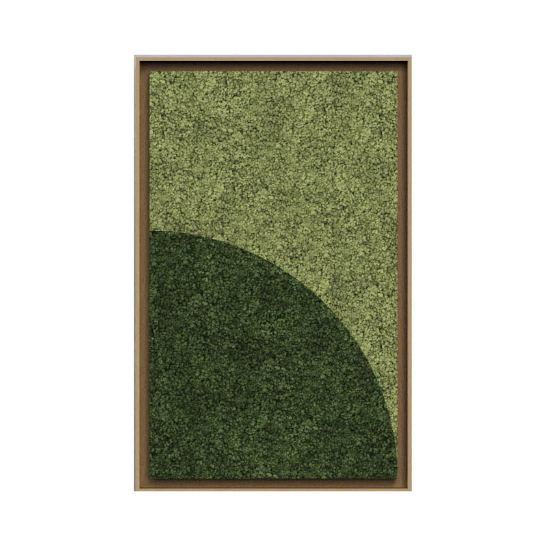 Geometric Framed Moss Wall Art (Series B)