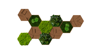 Cork Hexagons Moss Wall Art (Set of 10 Moss Panels)