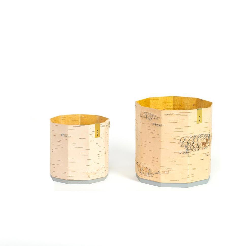 bark plant pot Tara Kesk Birch Bark Planters