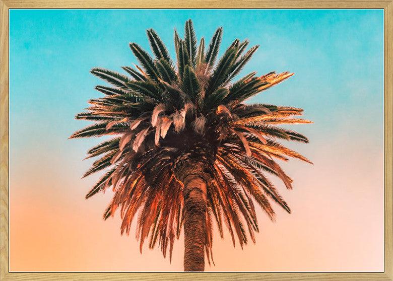 Palm Tree: Art Poster Forest Homes
