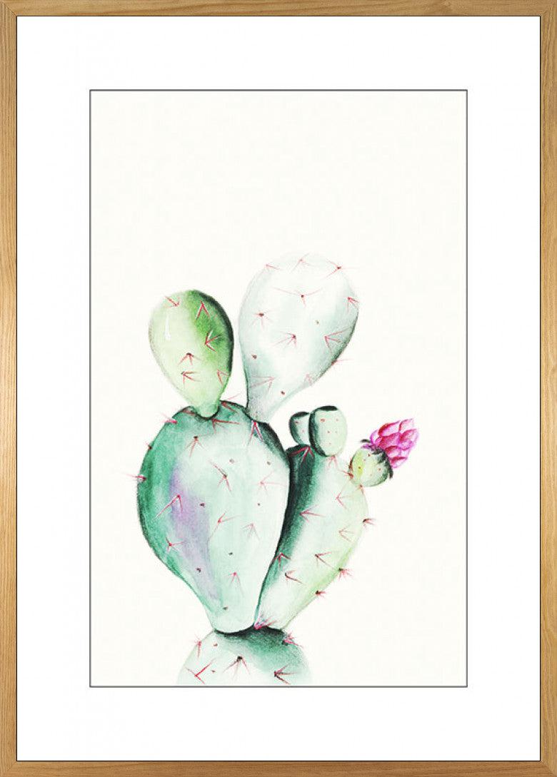 Prickly Pear Watercolor Art Poster