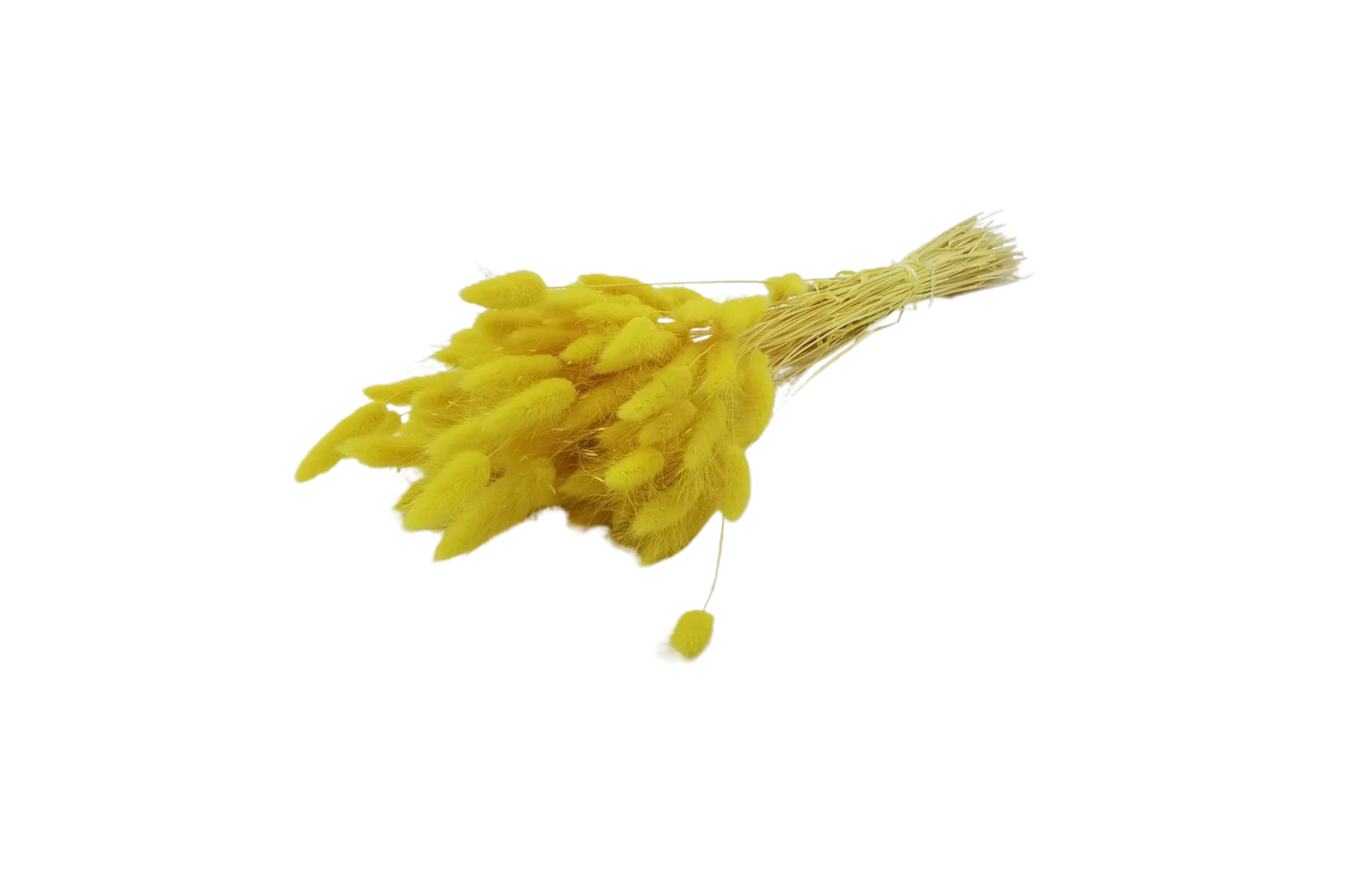 Italian Yellow Lagurus Bouquet