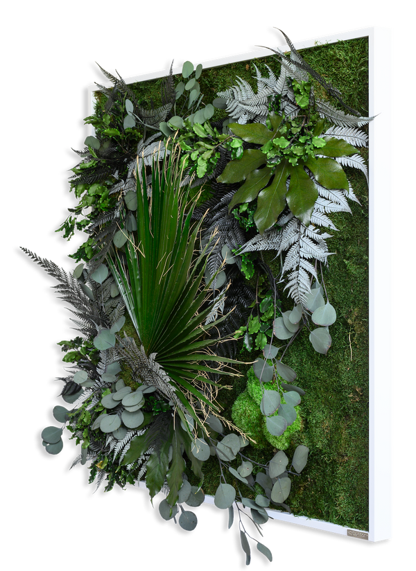 Jungle Squared Plant and Moss Wall Art (80cm)-Wall Decor-MOSS PICTURES, MOSS WALL ART, PLANT WALL ART, PLANTS-Forest Homes-Nature inspired decor-Nature decor