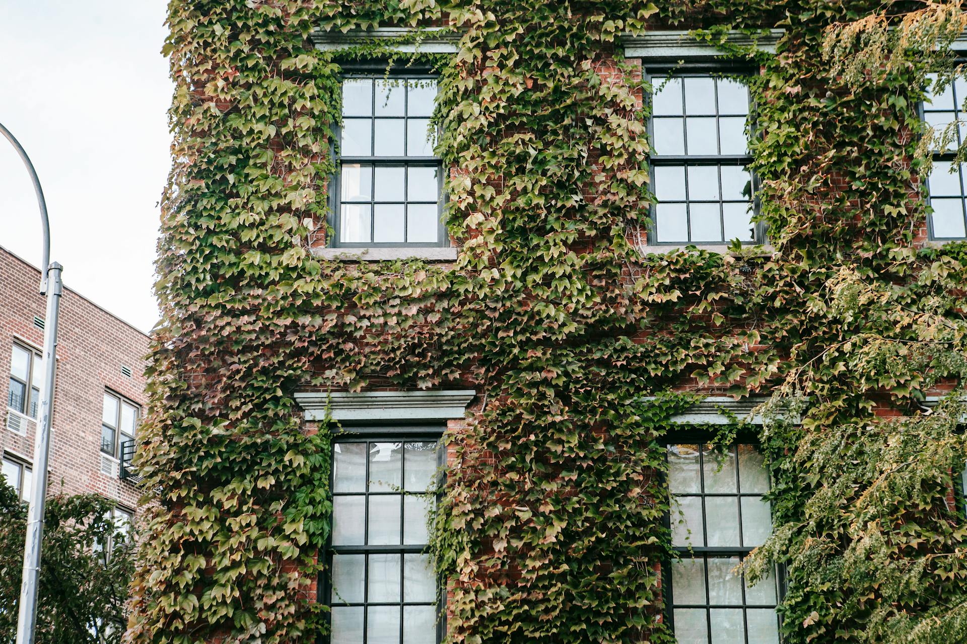 How to incorporate nature in a small urban apartment? – Forest Homes