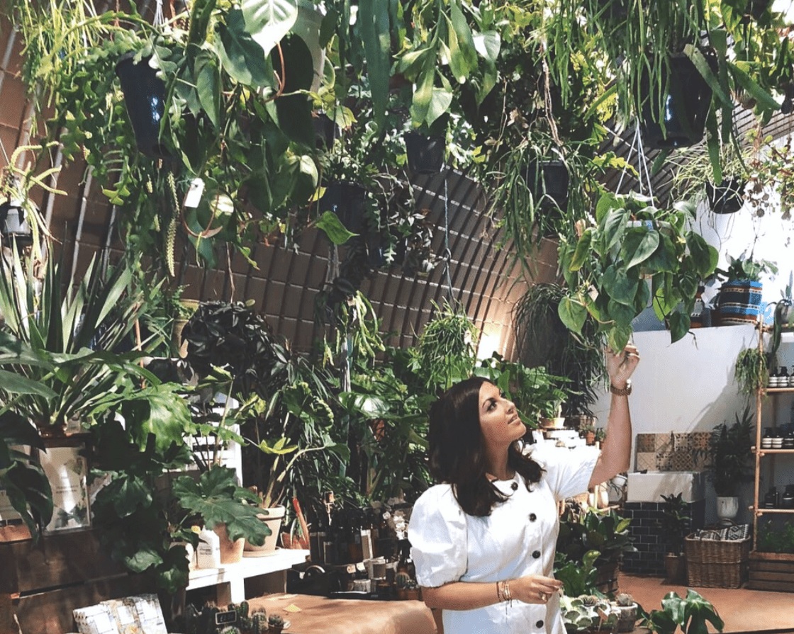 Cactus Inspiration:Natasha Sidhu's Essentials To Nature Inspired Decor - Decor for Wellbeing, Home Decor Ideas, Home Decor Styles - Forest Homes