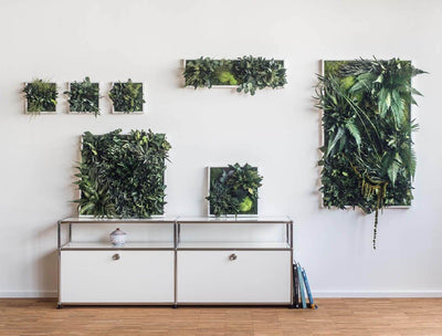 Discover: All About Plant and Moss Wall Art