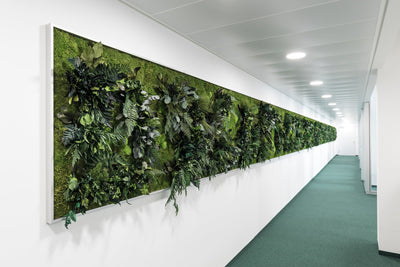 What are the benefits of biophilic design?
