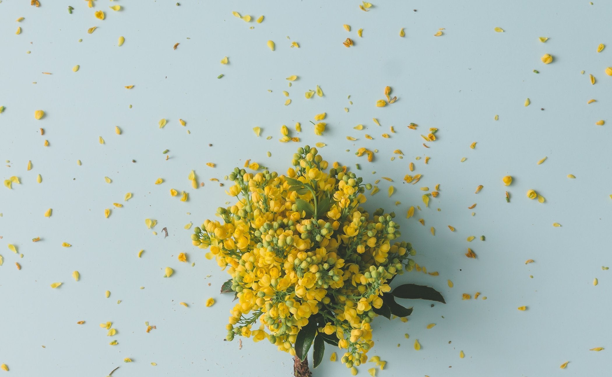 Sale Nature's Best Deals! Forest Homes