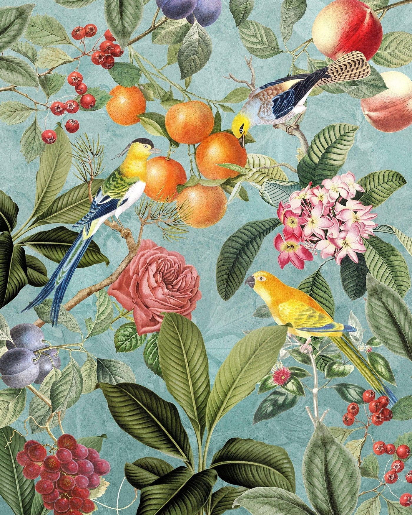 Birds and Berries Mural Wallpaper
