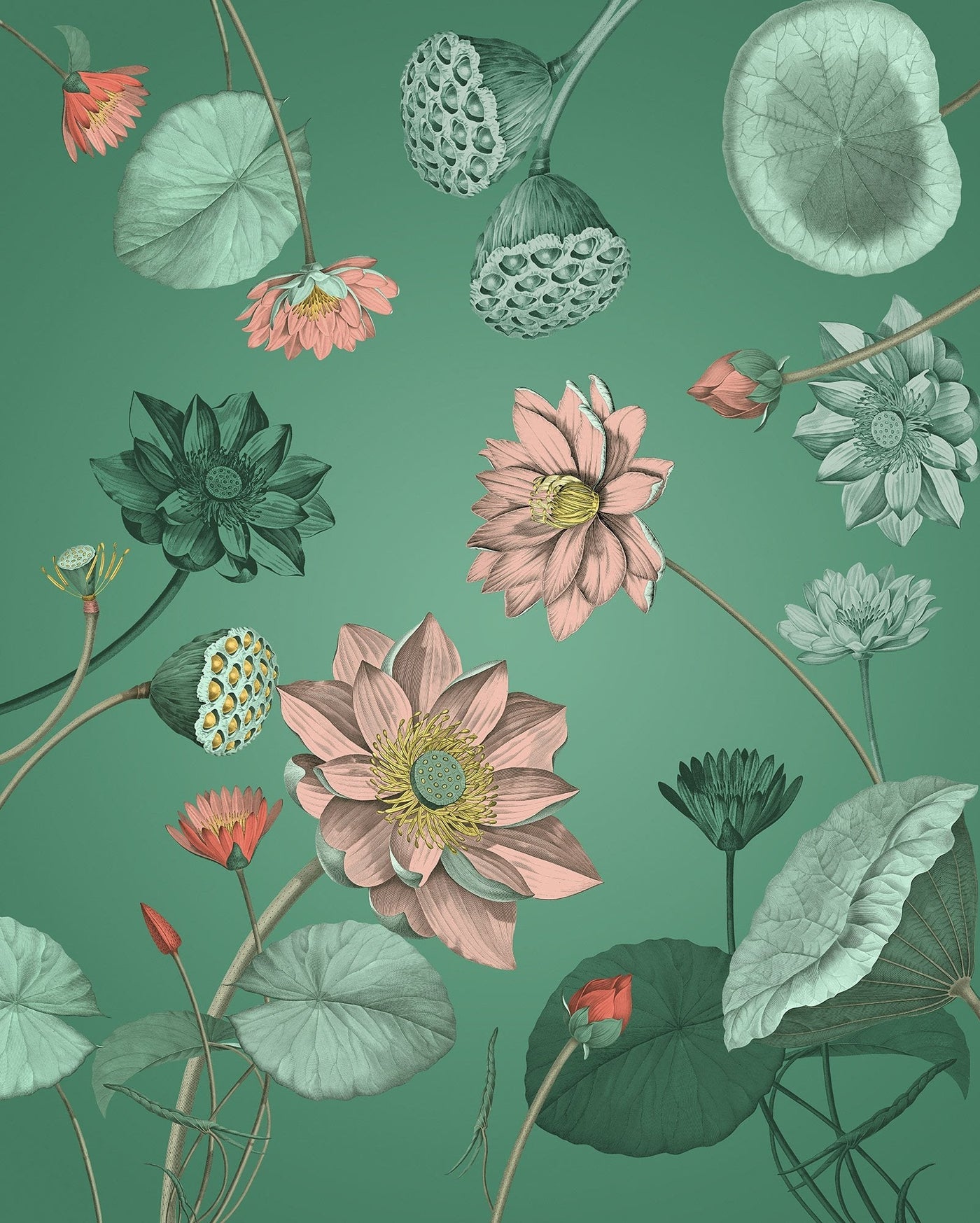 Flowers in Bliss Mural Wallpaper-Wall Decor-ECO MURALS, FLORAL WALLPAPERS, MURALS, MURALS / WALLPAPERS, NON-WOVEN WALLPAPER-Forest Homes-Nature inspired decor-Nature decor