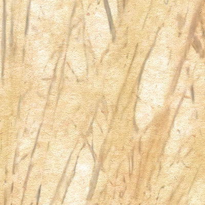 Dune Grass Mural Wallpaper