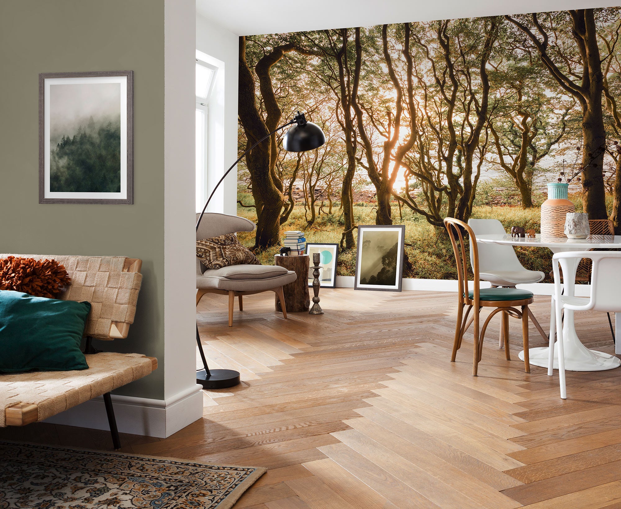 Bold Birch Mural Wallpaper: Nature Wallpaper Forest Homes