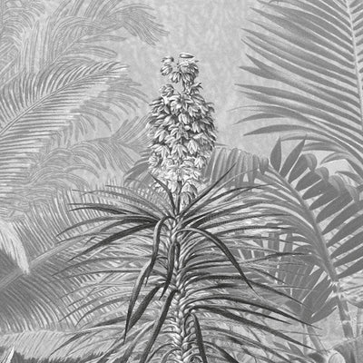 Frais Black and White Jungle Mural-Wall Decor-BLACK & WHITE WALLPAPER, ECO MURALS, JUNGLE WALLPAPER, MURALS, MURALS / WALLPAPERS, NON-WOVEN WALLPAPER, PALM WALLPAPER, TROPICAL MURAL-Forest Homes-Nature inspired decor-Nature decor