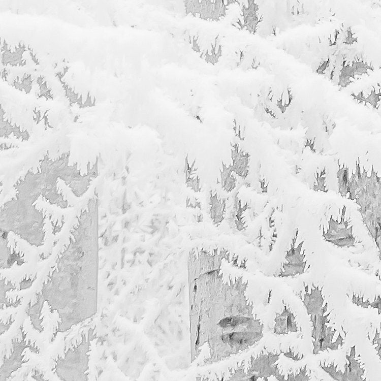 Frozen Forest Mural Wallpaper-Wall Decor-BLACK & WHITE WALLPAPER, ECO MURALS, LANDSCAPE WALLPAPERS, MURALS, MURALS / WALLPAPERS, NON-WOVEN WALLPAPER-Forest Homes-Nature inspired decor-Nature decor