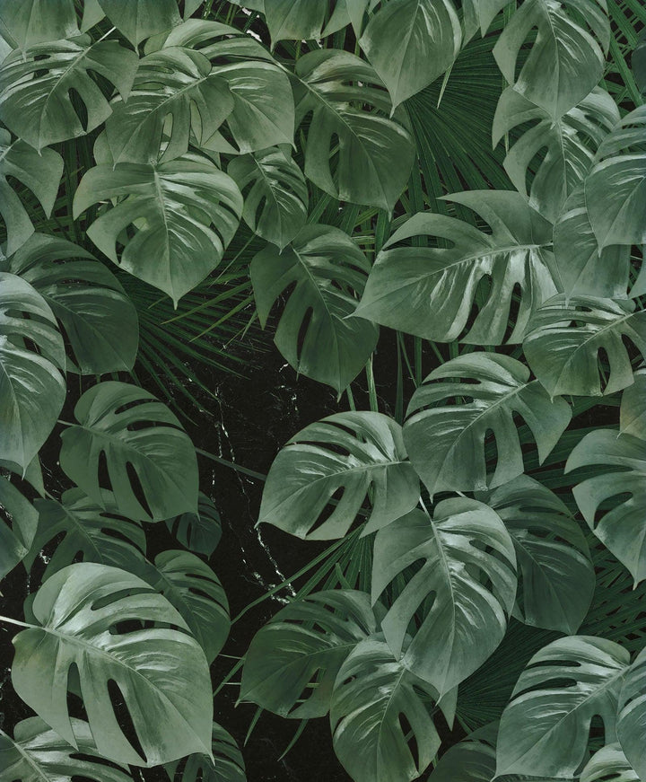 Garden of Monstera Mural Wallpaper: Floral Wallpaper