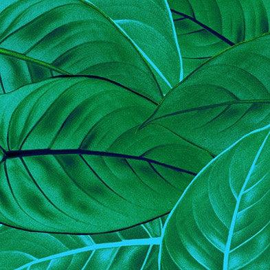 Jungle Leaves Mural Wallpaper