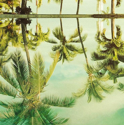 Mirror in the Palms Mural Wallpaper