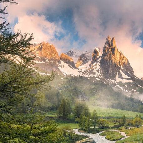 Paradise on Earth Mural: Landscape Wallpaper | Forest Homes