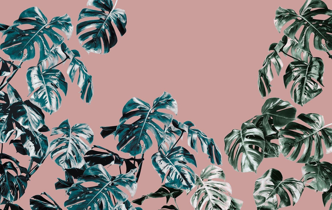 Pink Monstera Mural: Pink and Monstera Wallpaper