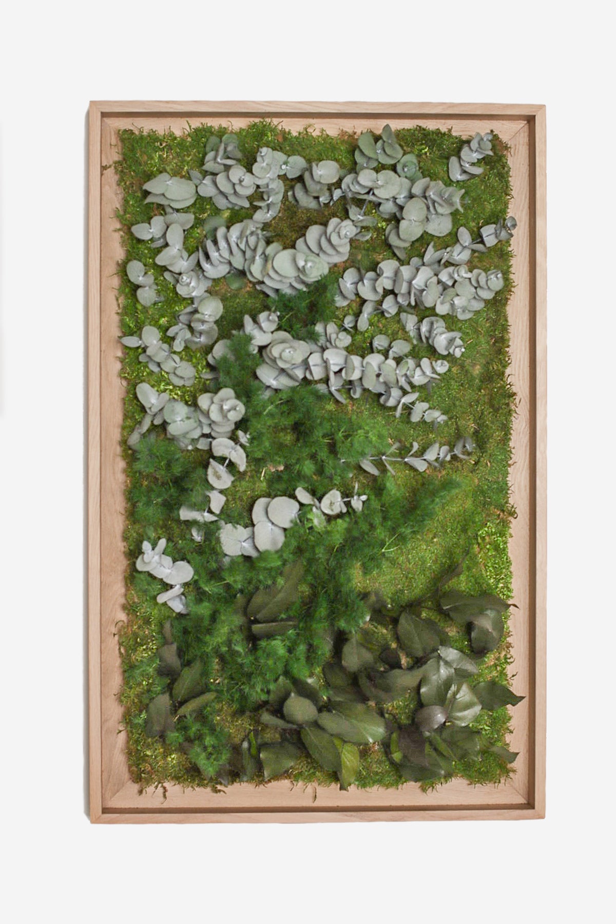 Textured Plant Framed Moss Wall Art