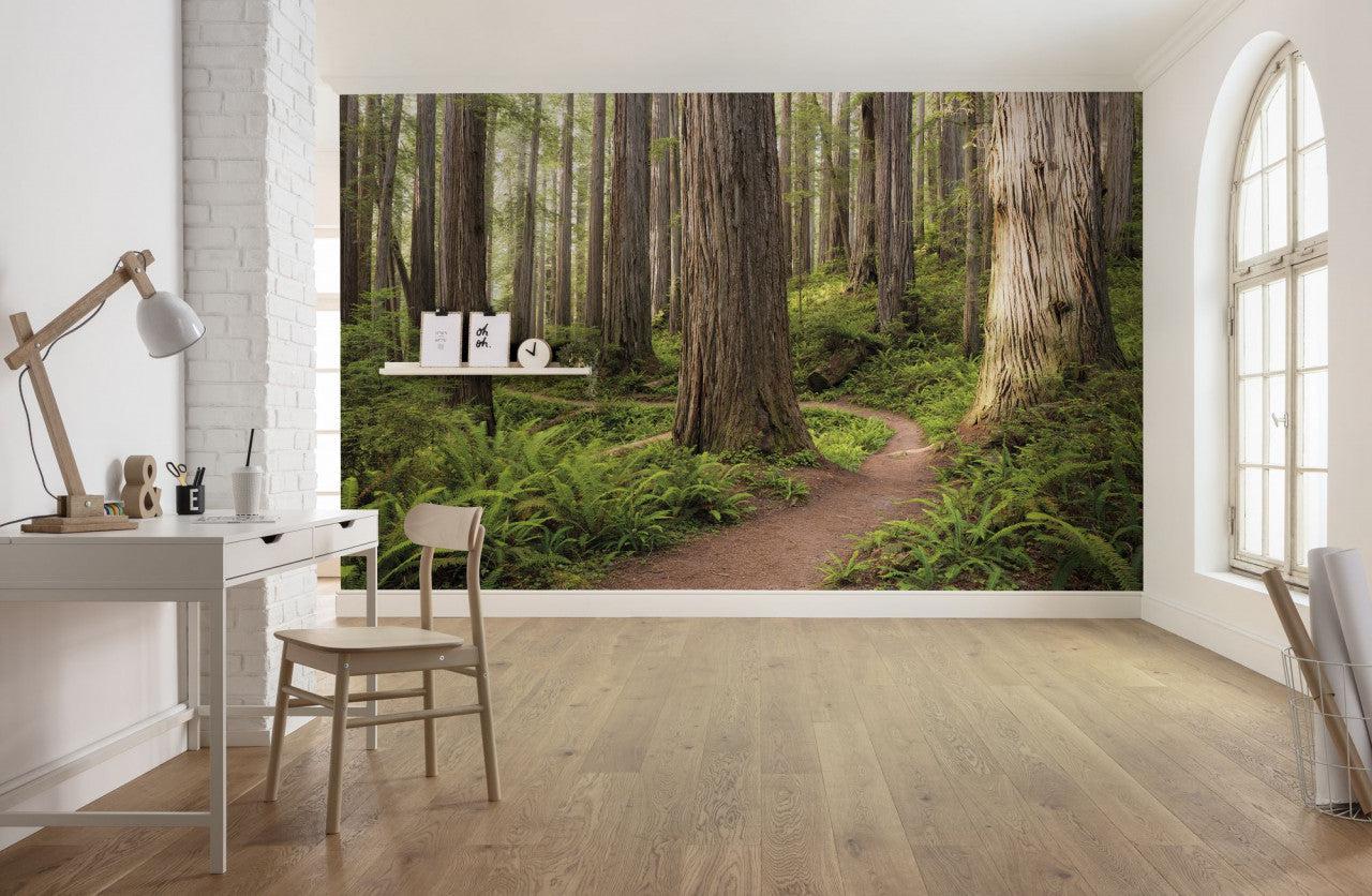 Forest Trails Mural Wallpaper-Wall Decor-ECO MURALS, LANDSCAPE WALLPAPERS, MURALS, MURALS / WALLPAPERS, NON-WOVEN WALLPAPER-Forest Homes-Nature inspired decor-Nature decor