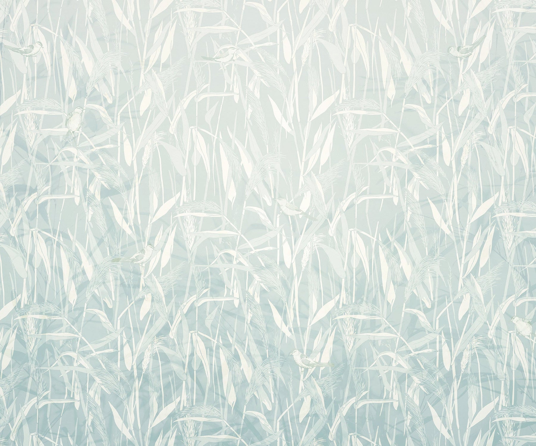 Reed Mural Wallpaper – Forest Homes