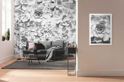 Black & White Succulents Mural Wallpaper-Wall Decor-BLACK & WHITE WALLPAPER, CACTUS WALLPAPERS, ECO MURALS, FLORAL WALLPAPERS, LEAF WALLPAPER, MURALS, MURALS / WALLPAPERS, NON-WOVEN WALLPAPER-Forest Homes-Nature inspired decor-Nature decor
