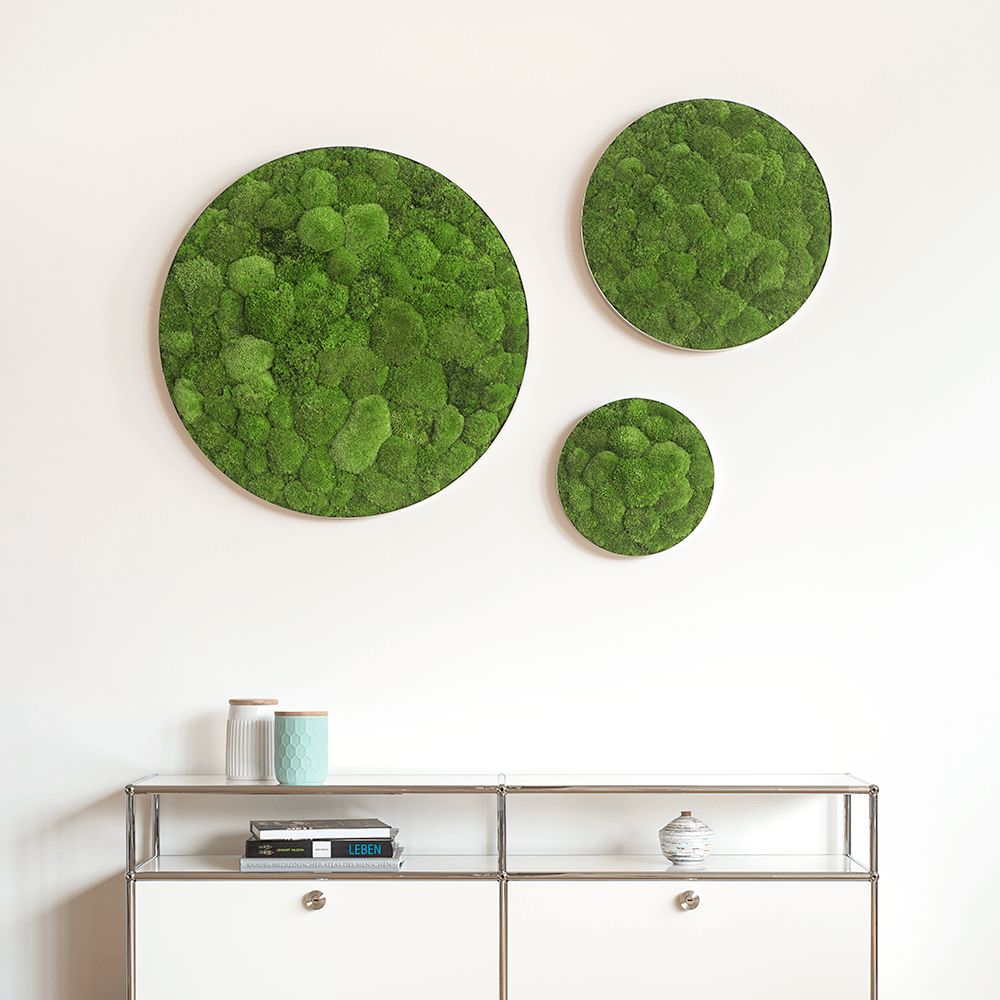 Circular Decorative Moss Frame: Moss Wall Art