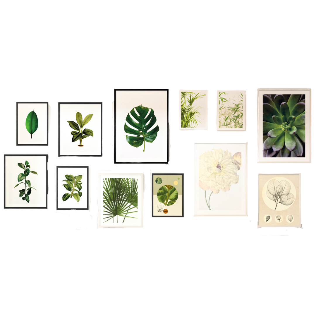 Nature Art Gallery (12 Art Posters w/ frames)