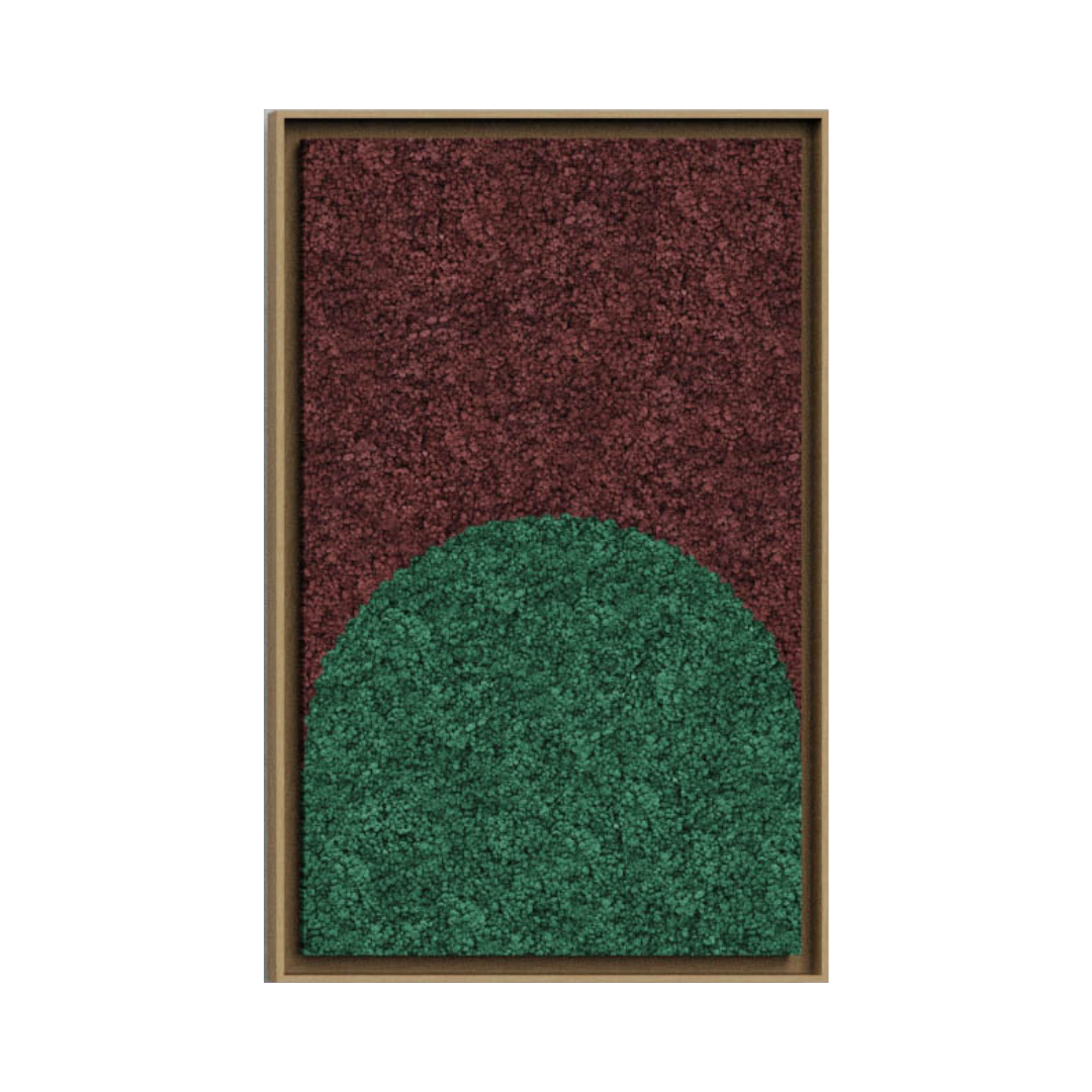 Geometric Framed Moss Wall Art (Series C)