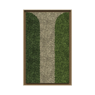 Geometric Framed Moss Wall Art (Series D)
