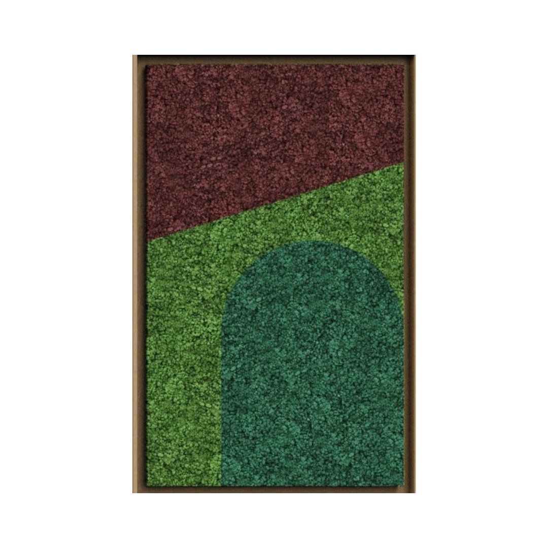 Geometric Framed Moss Wall Art (Series E)