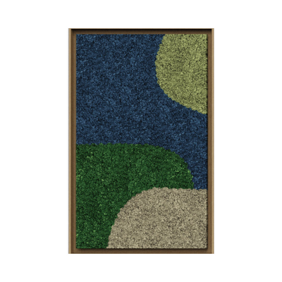 Synergy Framed Moss Art (Series G)