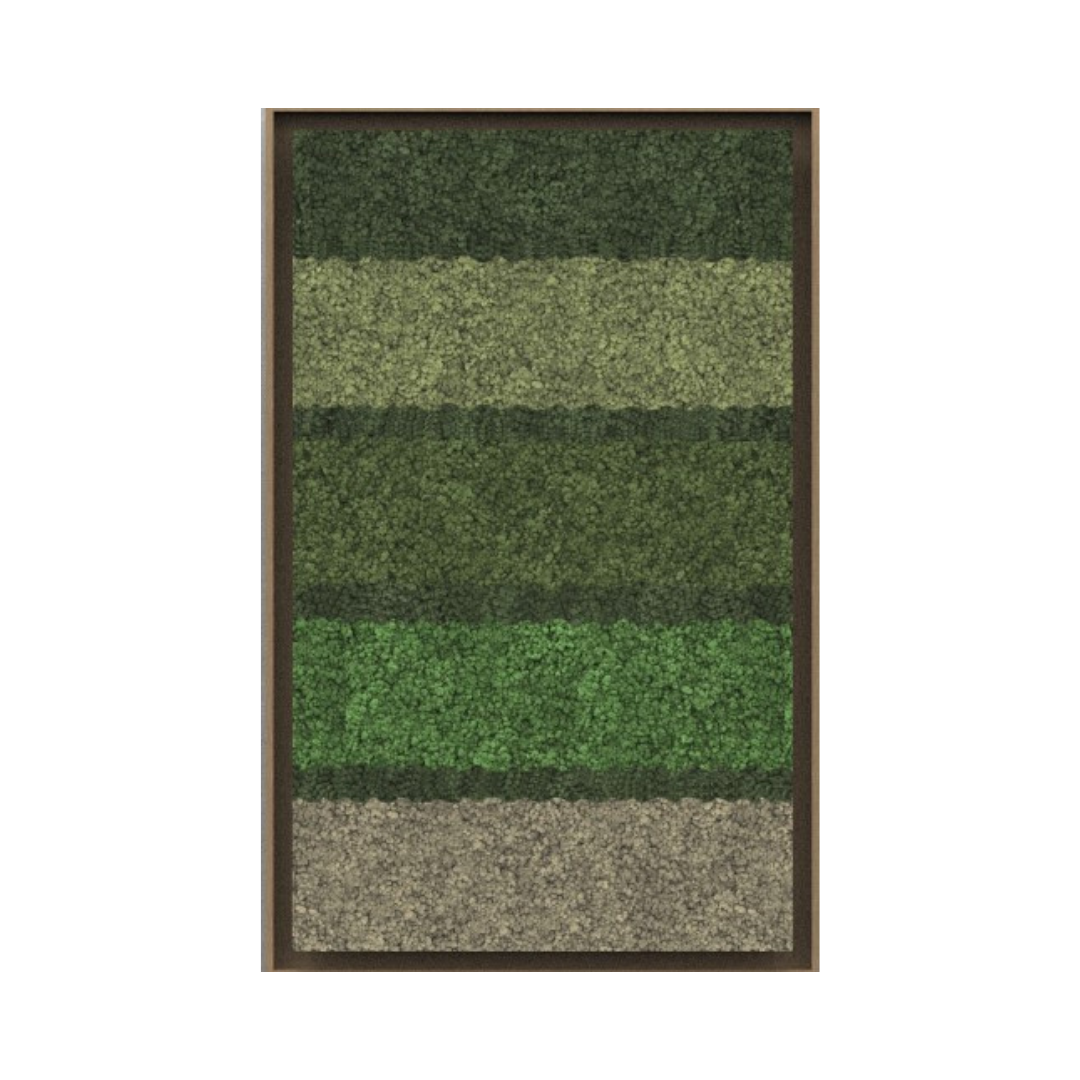Geometric Framed Moss Wall Art (Series G)