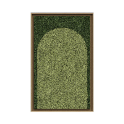 Geometric Framed Moss Wall Art (Series A)