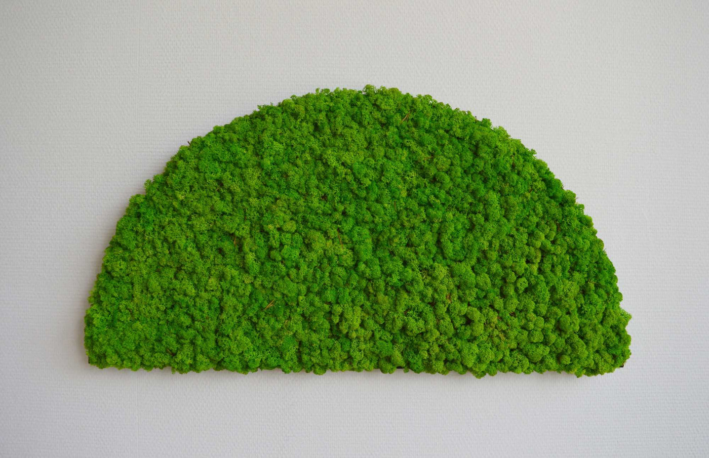 Moony Moss Art & Acoustic Shelf