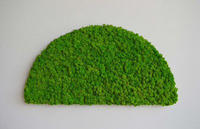 Moony Moss Art & Acoustic Shelf