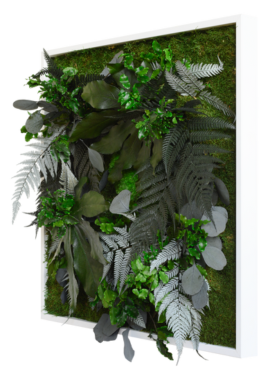 Jungle Square Plant and Moss Wall Art (55cm)-Wall Decor-LIVING MOSS WALL, MOSS PICTURES, MOSS WALL ART, PLANT WALL ART, PLANTS-Forest Homes-Nature inspired decor-Nature decor