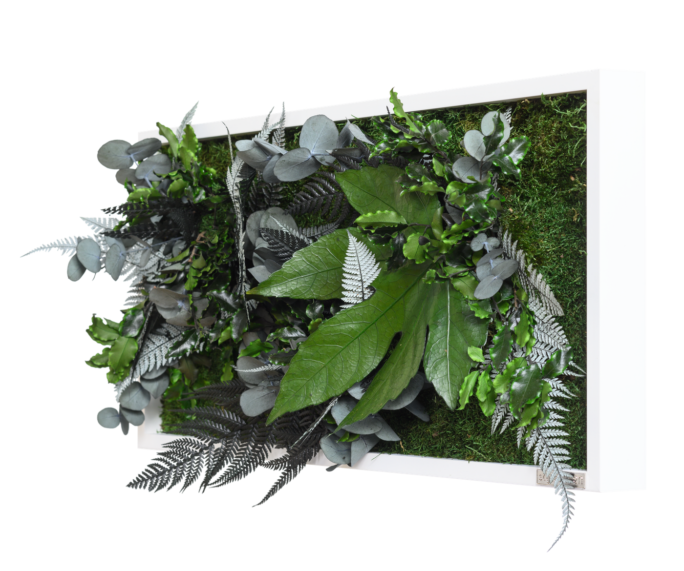 Jungle Rectangular Plant and Moss Wall Art (55x27cm)-Wall Decor-LIVING MOSS WALL, MOSS PICTURES, MOSS WALL ART, PLANT WALL ART, PLANTS-Forest Homes-Nature inspired decor-Nature decor