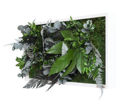 Jungle Rectangular Plant and Moss Wall Art (55x27cm)-Wall Decor-LIVING MOSS WALL, MOSS PICTURES, MOSS WALL ART, PLANT WALL ART, PLANTS-Forest Homes-Nature inspired decor-Nature decor