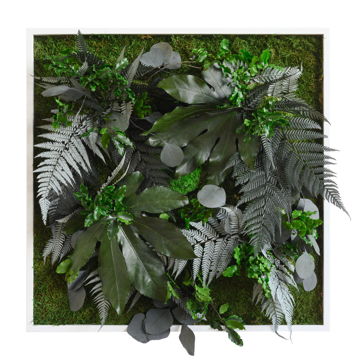 square wall hanging plant Jungle Square Plant and Moss Wall Art (55cm)