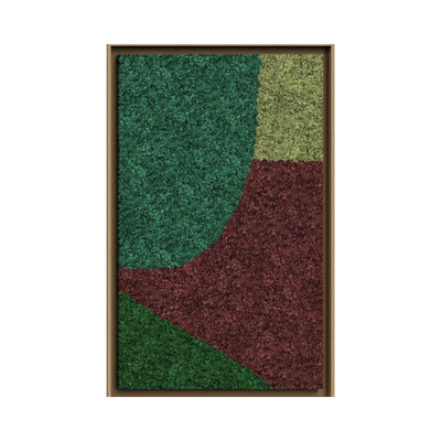 Synergy Framed Moss Art (Series C)