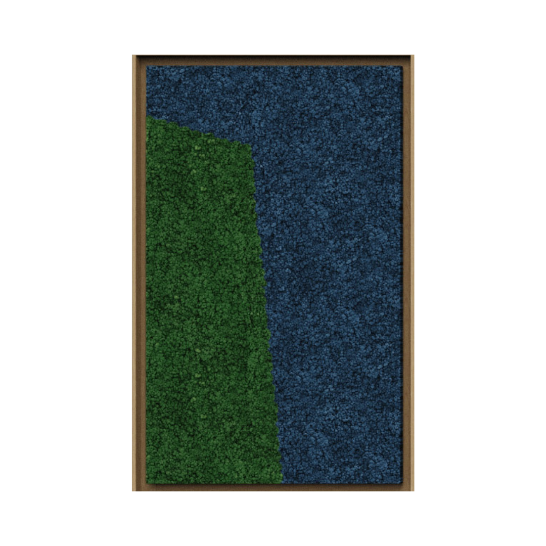 Landscape Framed Moss Art (Series A)