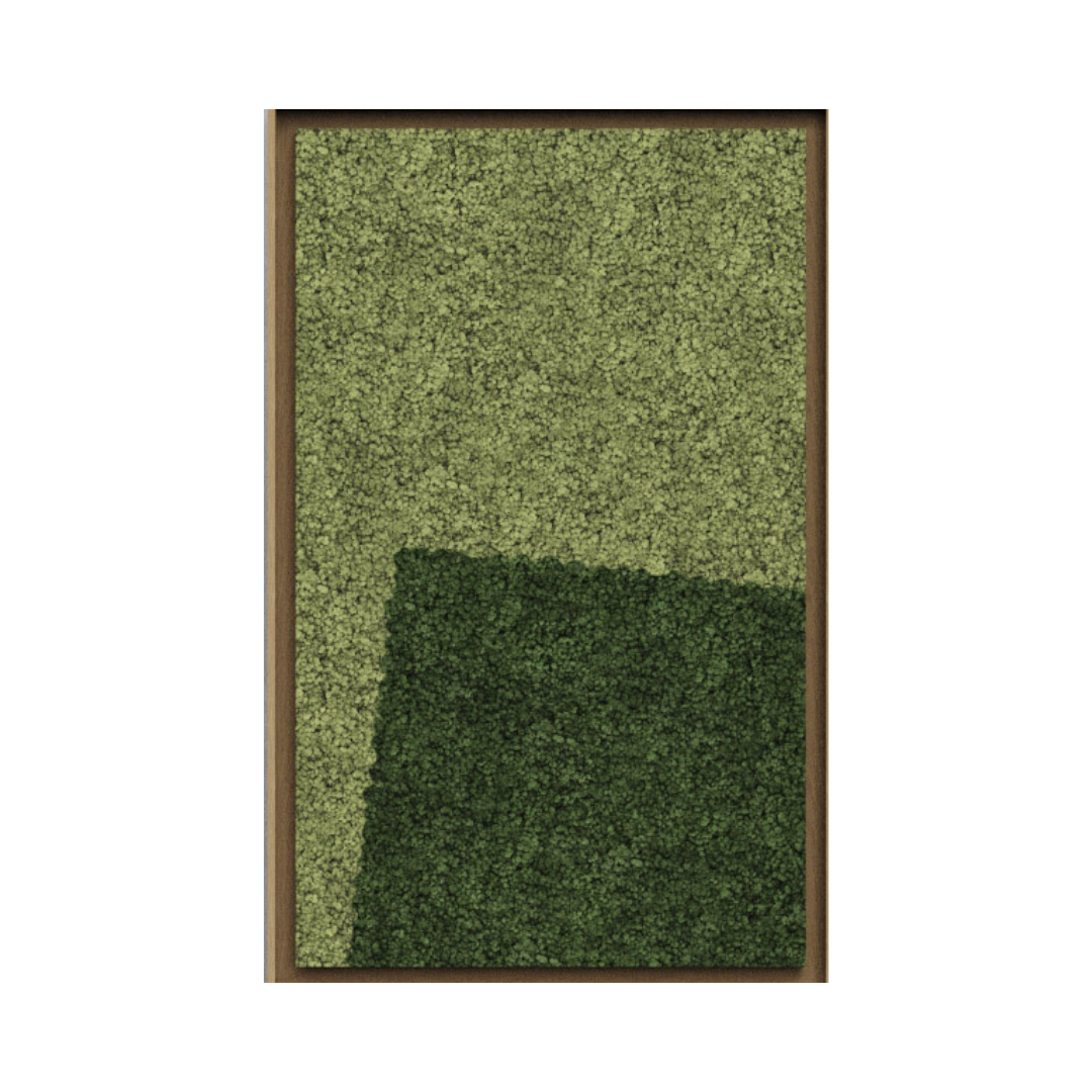 Landscape Framed Moss Art (Series B)