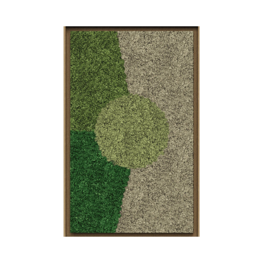 Landscape Framed Moss Art (Series C)
