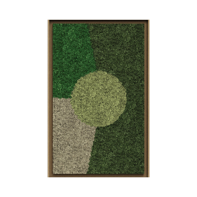 Landscape Framed Moss Art (Series C)