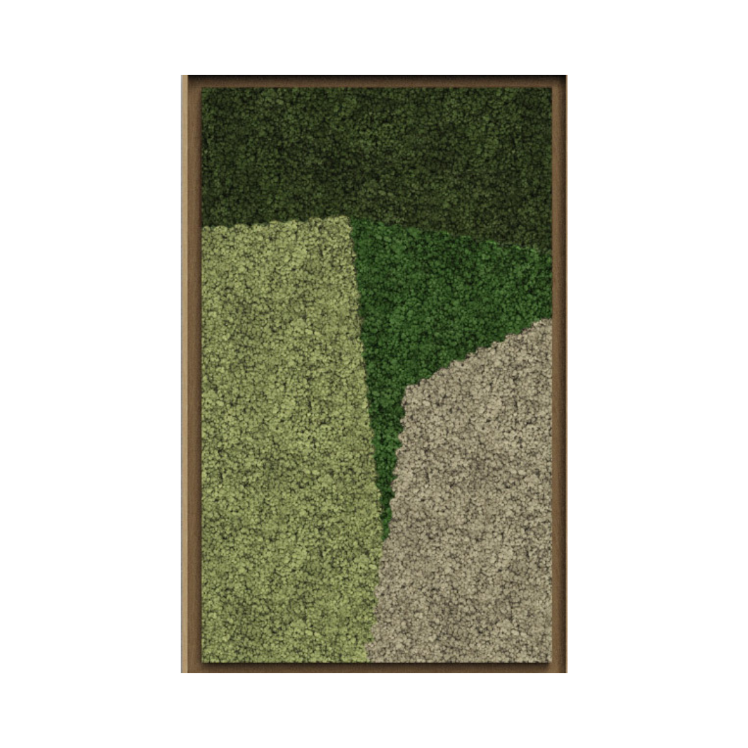 Landscape Framed Moss Art (Series D)