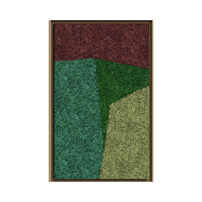Landscape Framed Moss Art (Series D)