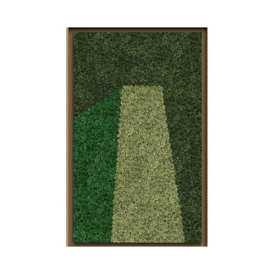 Landscape Framed Moss Art (Series E)