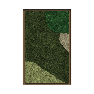 Synergy Framed Moss Art (Series D)